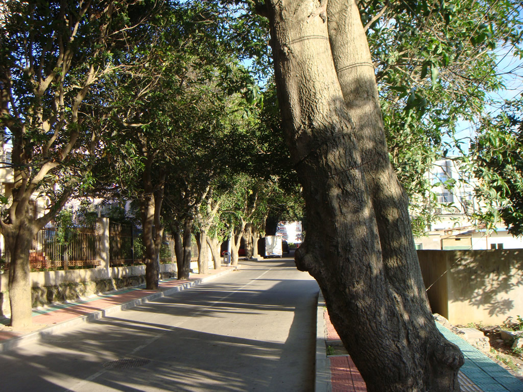 DSC02254_r1_c1 厦门早晨的阳光
