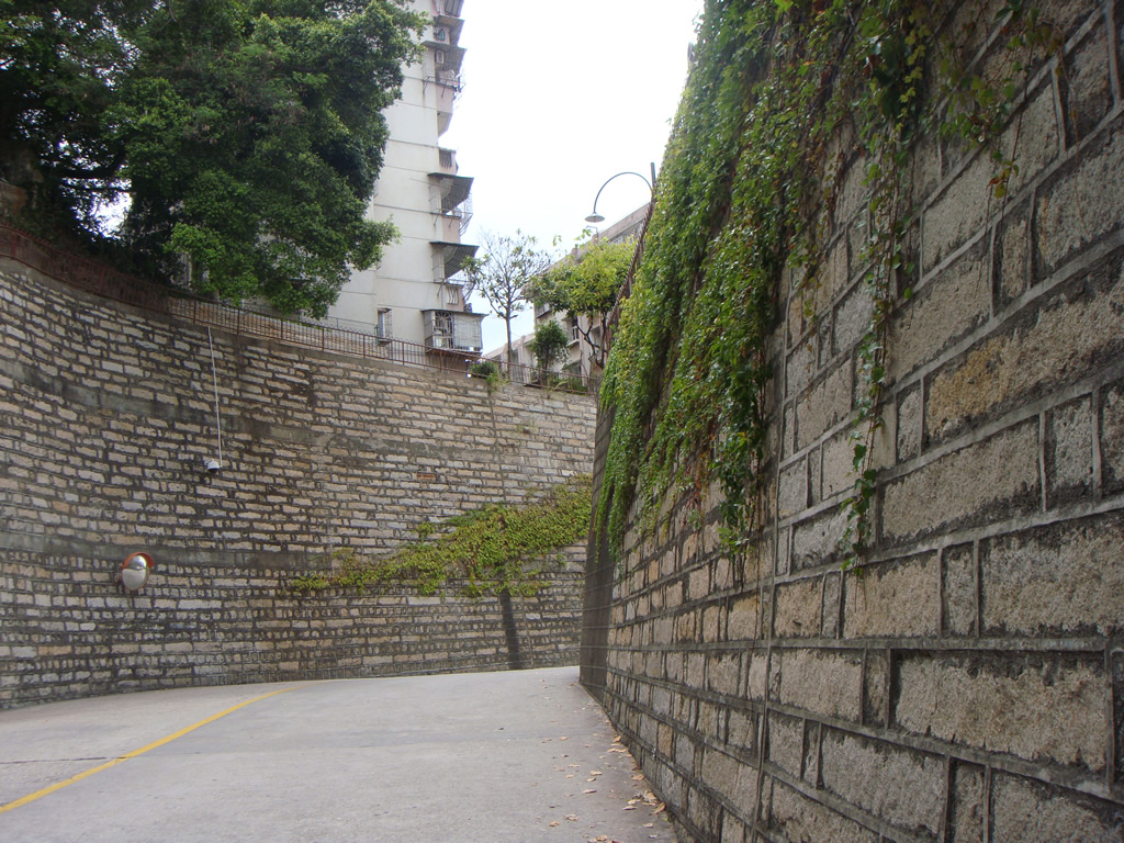DSC02351_r1_c1 上坡