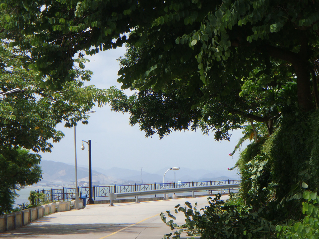 DSC02366_r1_c1 厦大的路