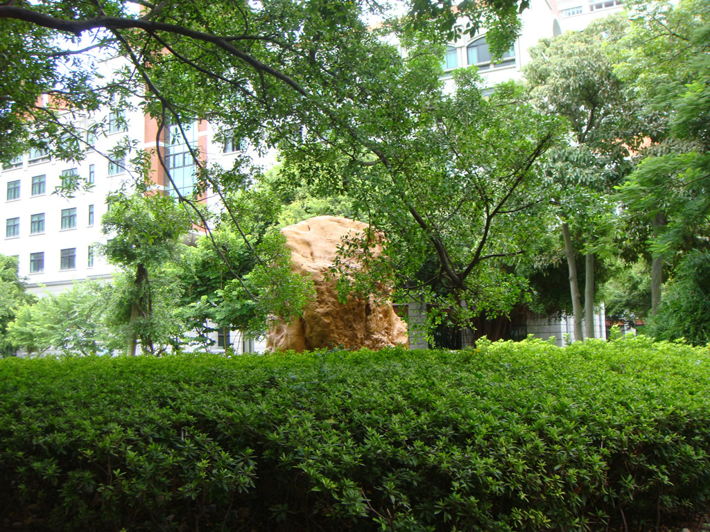 DSC02383_r1_c1 厦门大学小景